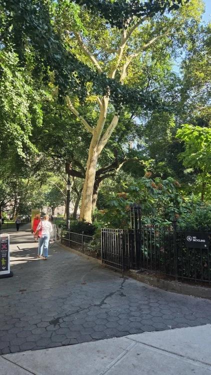 entrance to madison square park in new york city