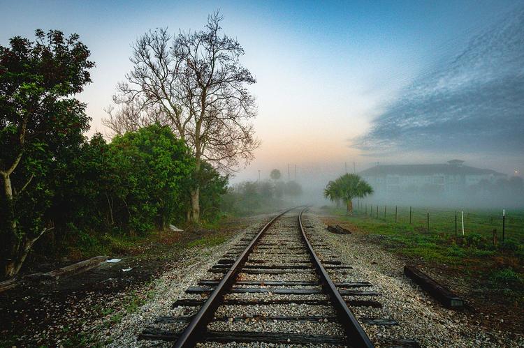 May be an image of train, nature, railroad, twilight, fog and road