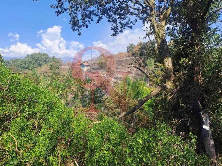 Pavone Canavese incendio boschivo