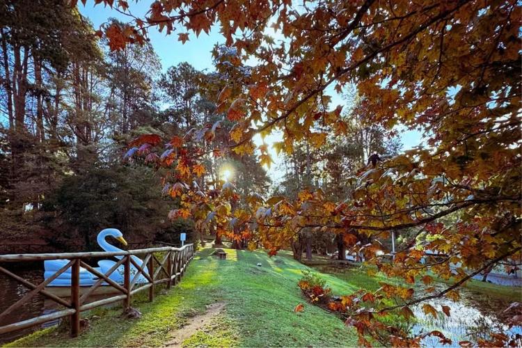 Confira lista de atrações baratas ou gratuitas para curtir o inverno em Campos do Jordão
