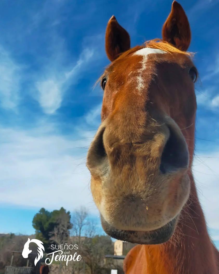 Tenemos algo importante que contarte 🔊 El próximo 𝗱𝗼𝗺𝗶𝗻𝗴𝗼 𝟮𝟮 𝗱𝗲 𝗺𝗮𝗿𝘇𝗼, 𝗮 𝗹𝗮𝘀 𝟭𝟮𝗵 te esperamos en...