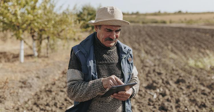 Embrapa desenvolve IA própria para responder perguntas de produtores rurais com mais precisão