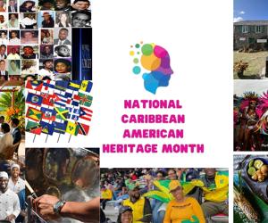 It's Caribbean American Heritage Month but the Trump White House meets the moment with silence.