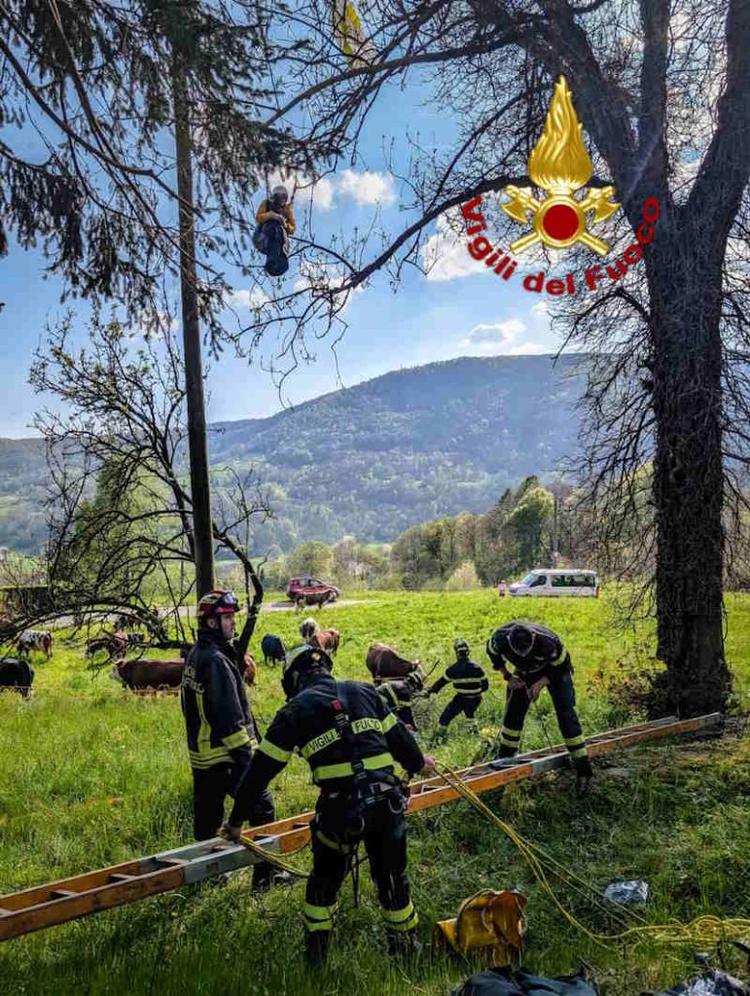 Vico Canavese parapendista precipitato