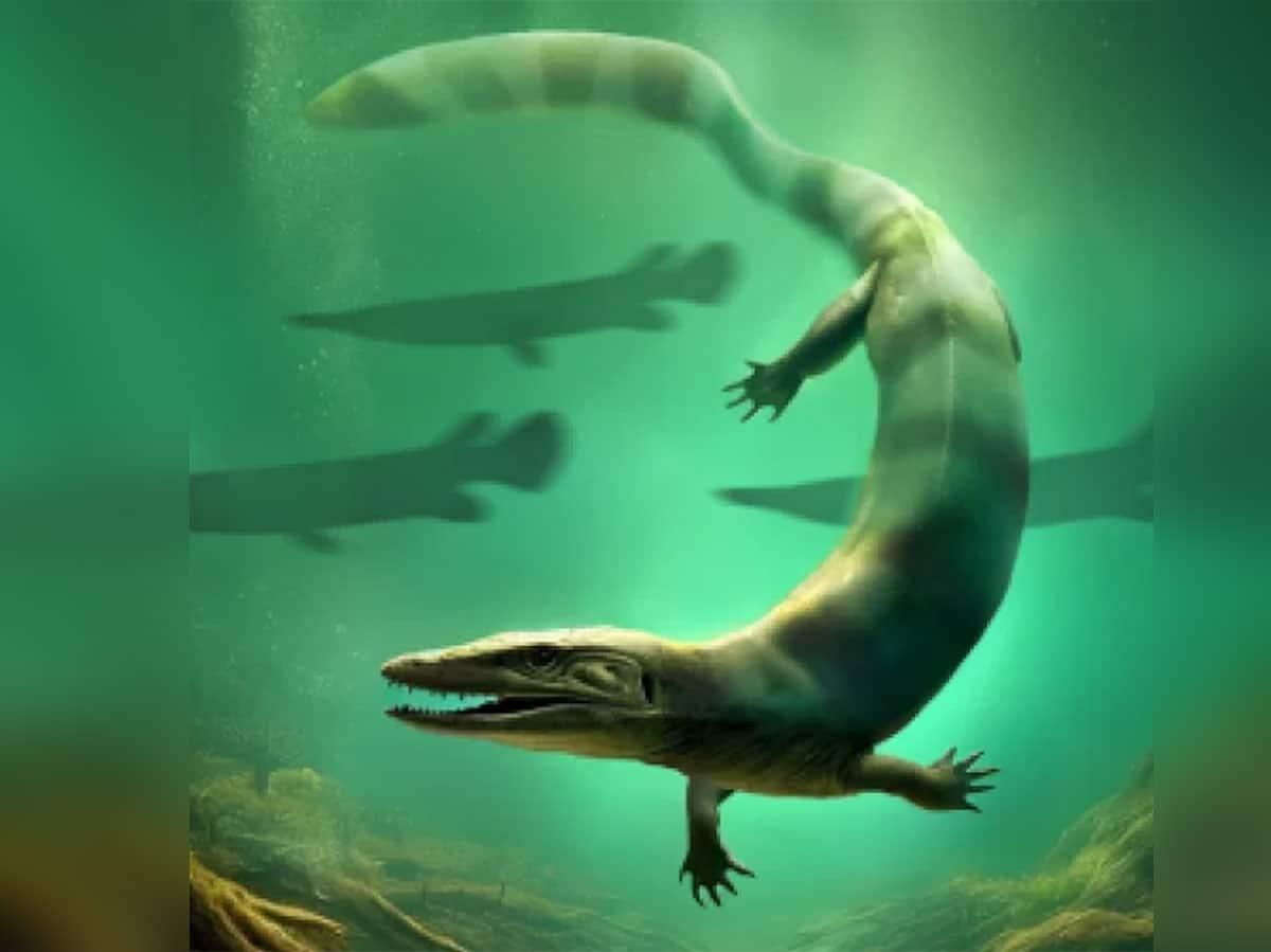 Fossilienfund belegt: Meeressaurier lebten auch im Süßwasser