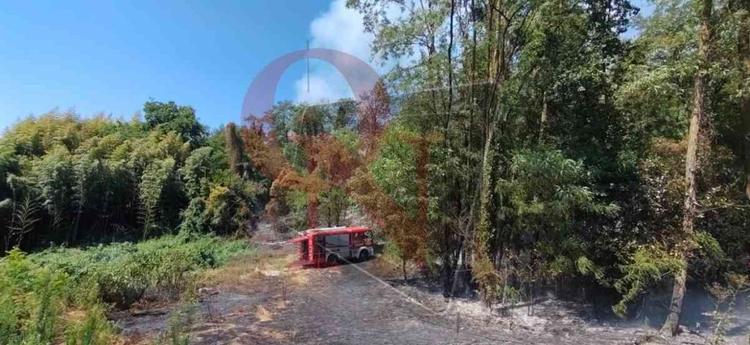strambino incendio boschivo