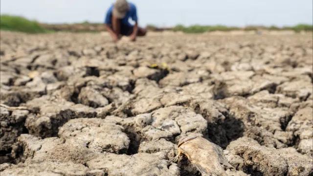 Guerra e El Niño levam economistas a projetar inflação de alimentos a 7%