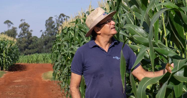 Cooperativas do Paraná investem na fabricação própria de bioinsumos agrícolas