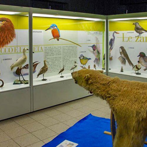 Museo Ornitologico e di Scienze Naturali “L. Scanagatta” a Varenna