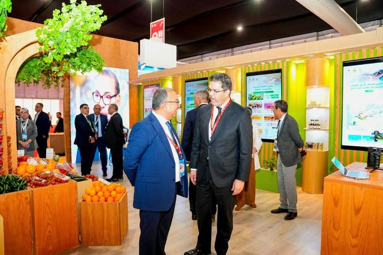 مسودة تلقائية