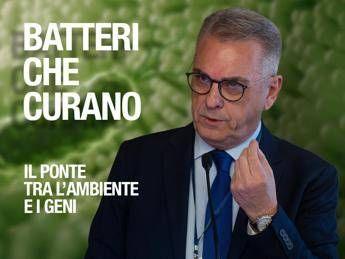 I batteri che curano, l'immunologo: "Microbiota in equilibrio e diversità sono la garanzia per invecchiamento in salute"