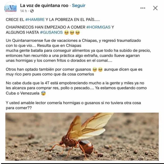 Tunden a página que aseguró que comer nucú es por pobreza