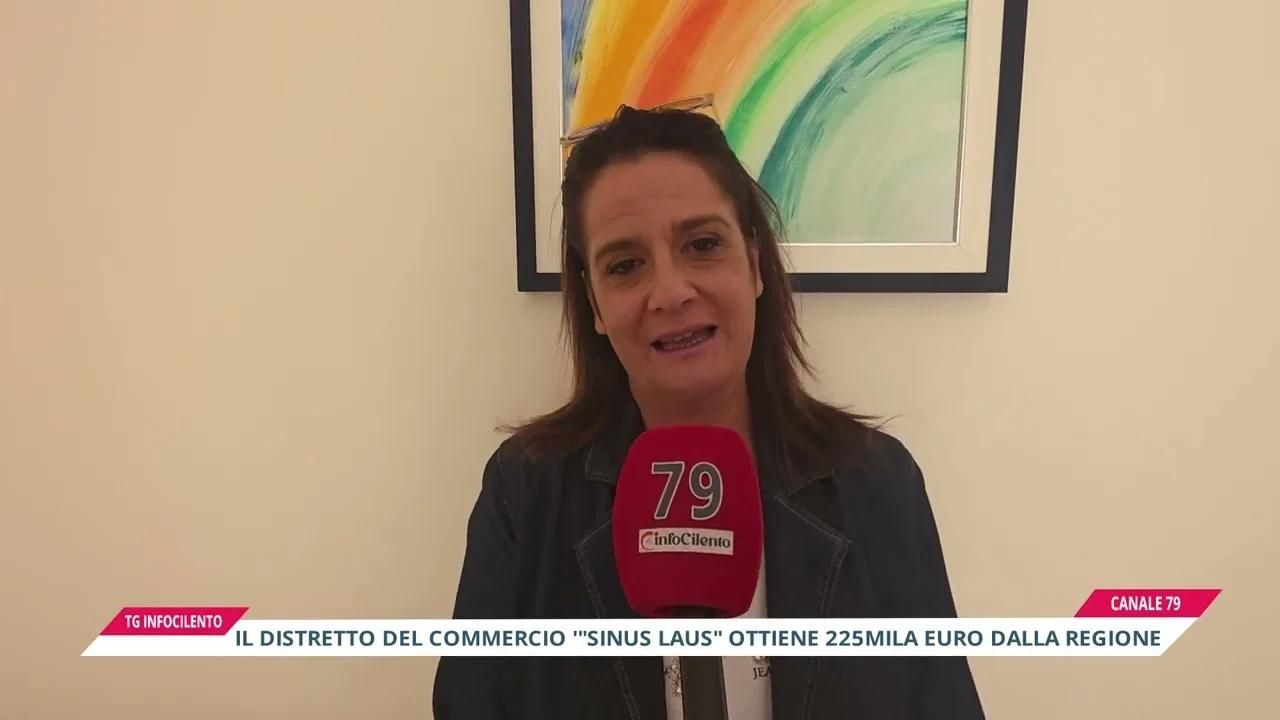 Distretto “Sinus Laus”: 225mila euro per il commercio del Golfo di Policastro