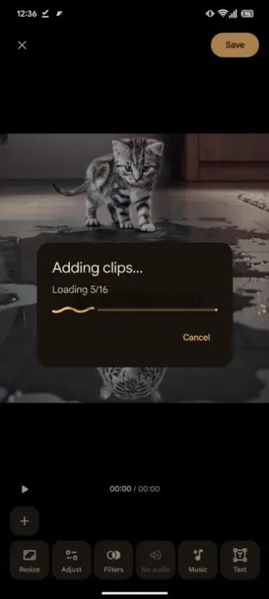Google Photos Memories Editor watermarked 389w 864h.jpg