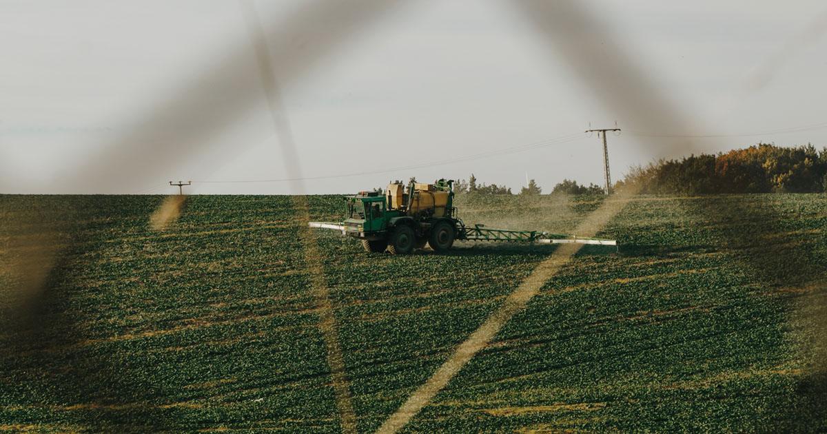 Sicoob projeta liberação de R$ 70 bi em crédito rural para o Plano Safra 26/27