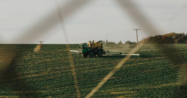 Sicoob projeta liberação de R$ 70 bi em crédito rural para o Plano Safra 26/27