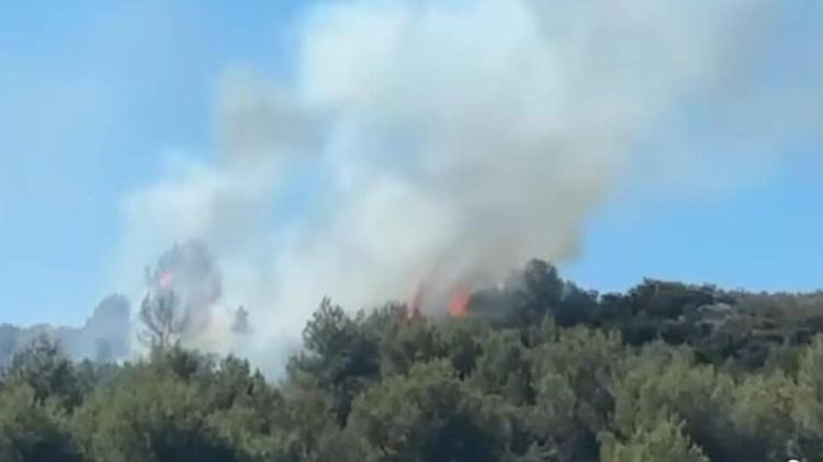 Hérault : un incendie signalé du côté de Marseillan