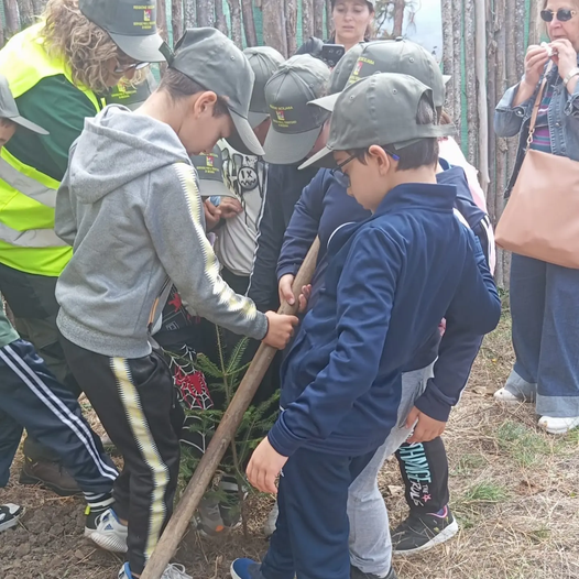 🌳🌱 RADICI – UNA GIORNATA PER RICRESCERE: GRAZIE A TUTTI! ❤️ Quella di ieri è stata una giornata straordinaria, ricca d...