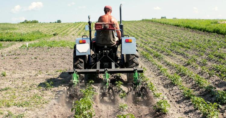 Disponibilidade de recursos para seguro rural preocupa mais que eventos climáticos, diz Fenseg
