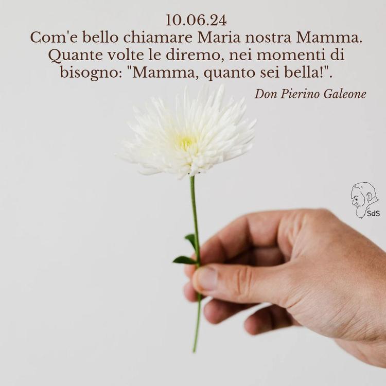 10.06.24
Com'e bello chiamare Maria nostra Mamma. Quante volte le diremo, nei momenti di bisogno: "Mamma, quanto sei bella!".
Don Pierino Galeone