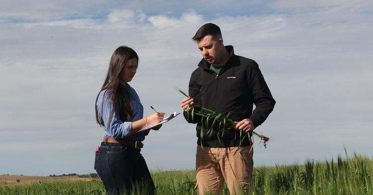 Empreendedorismo científico aproxima pesquisas e impulsiona inovação no agro