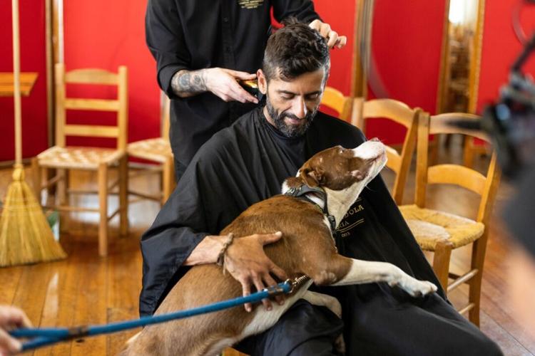 Curta “A Rua e a Casa” será exibido na Praça Dante Alighieri