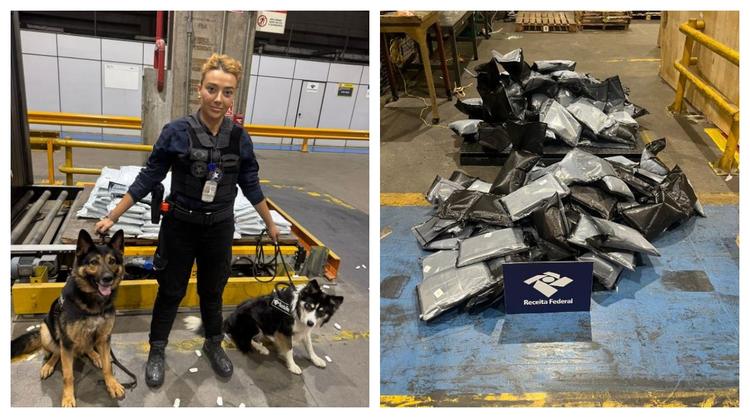 Cães farejadores encontram 280 kg de haxixe em caixas no aeroporto de Guarulhos; droga veio dos EUA