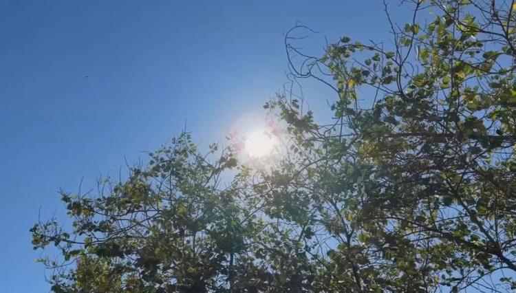Tupi Paulista registra 41,5 °C e está entre as cidades mais quentes de SP; calor continua nesta segunda