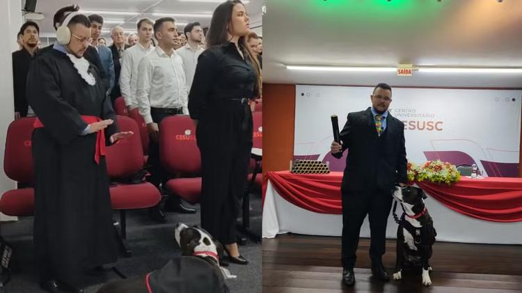 'Ele percebeu que eu estava nervoso': cão de serviço ajuda estudante autista durante formatura; VÍDEO