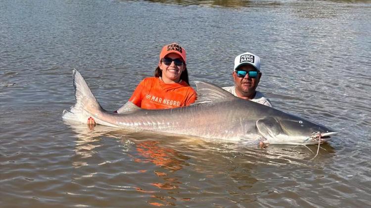 Casal e filha surpreendem ao pegar peixe que não pode ser consumido de 2,1 metros em Goiás; vídeo