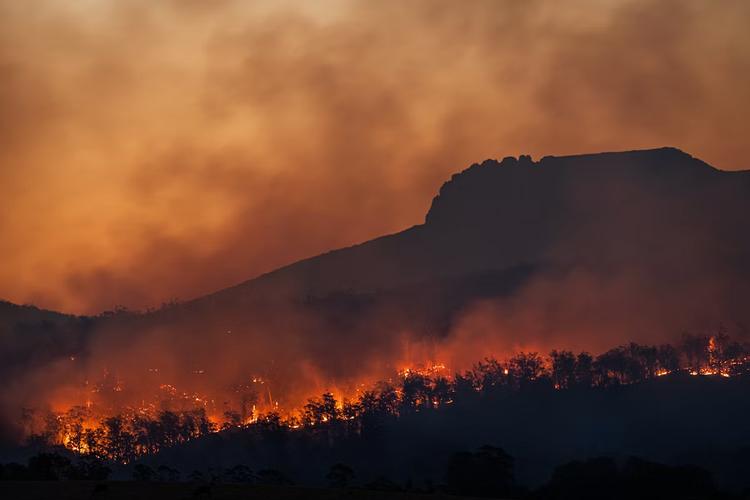 Feu de forêt et fumée au-dessus d'un massif, illustration de l'incendie en Gironde