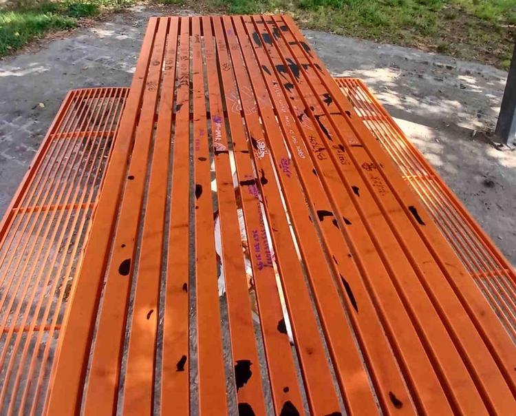 ciriè imbrattato il giardino di fido