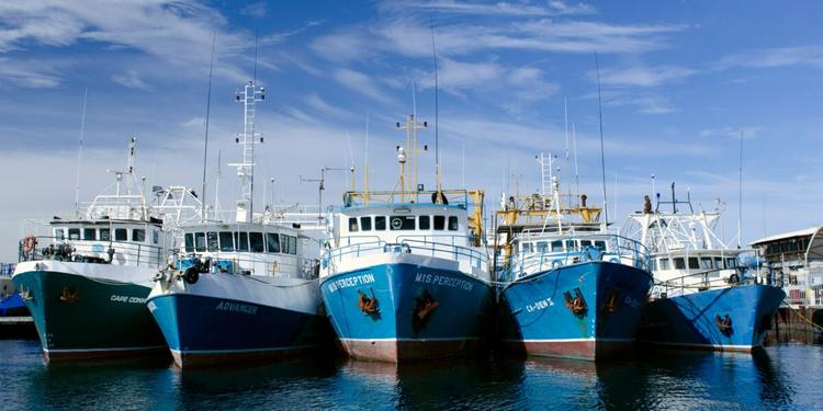 La protesta si estende alla pesca, pescherecci fermi in numerosi porti dell'Adriatico