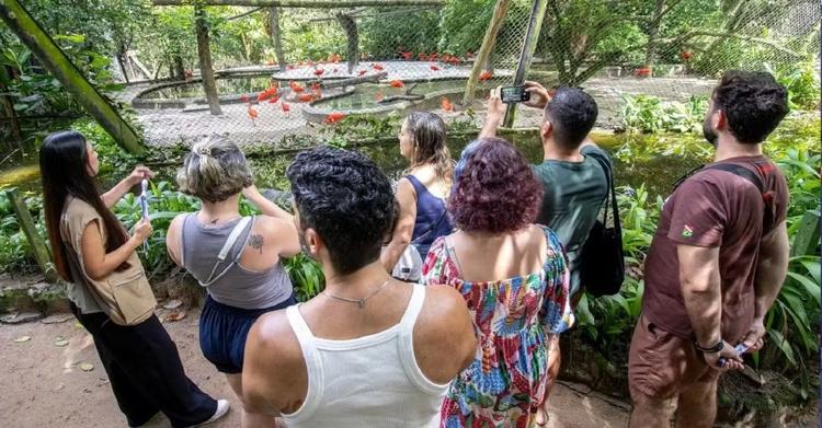 Museu Goeldi tem programação gratuita com palestra e visitas guiadas nesta terça-feira, 27, em Belém