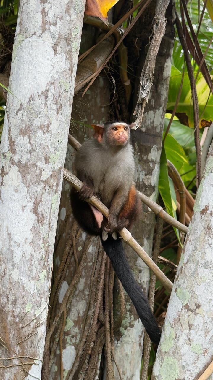 Mico rondoni faz visita inesperada em espaço de eventos e vai parar nas redes sociais em RO