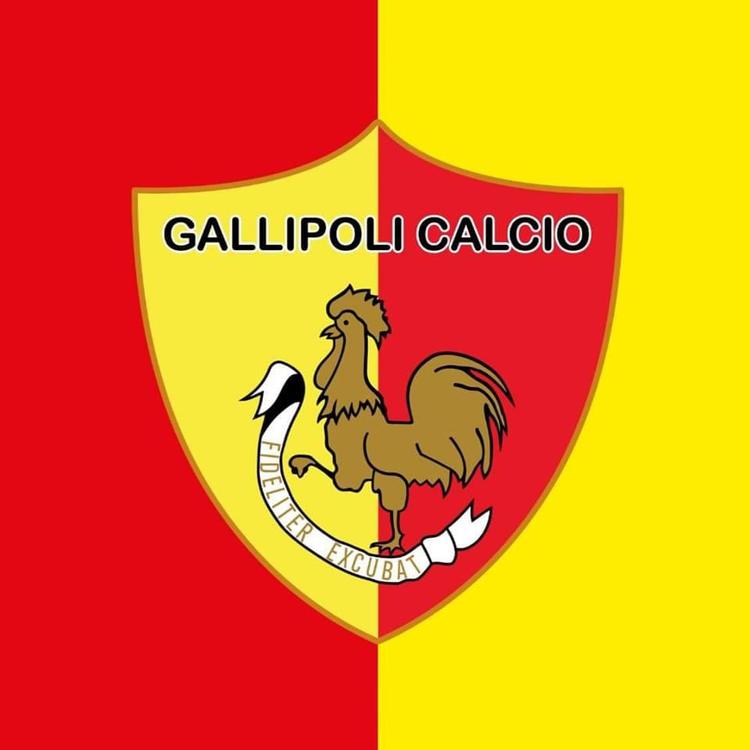 Eccellenza, Gallipoli: il titolo sportivo è nelle mani del sindaco