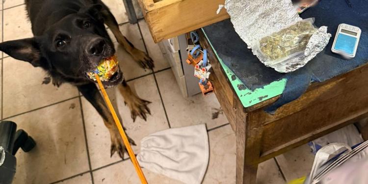 Un semplice messaggio sull'app, poi il blitz: scoperto un deposito di marijuana e cocaina a Catania