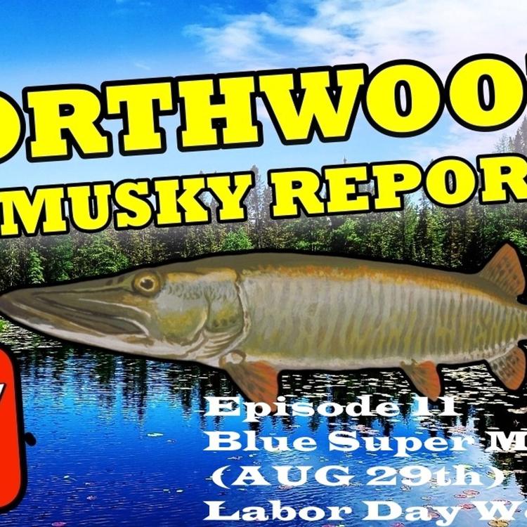 11: Northwoods Fishing Report : Blue Super Moon/Labor Day Weekend