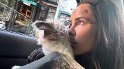 Murió Linda, la perrita de Cande Tinelli: la desgarradora despedida de la cantante