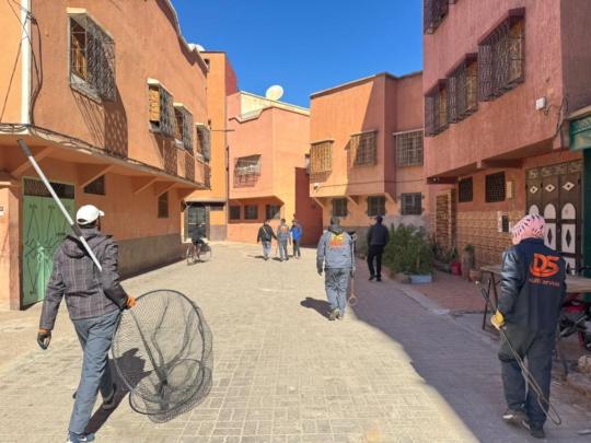 حملة للسلطة المحلية تستهدف الكلاب الضالة بسيدي يوسف بن علي +صور