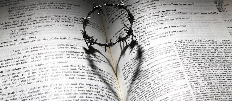 Love Is Patient: The First Competency of Christian Love