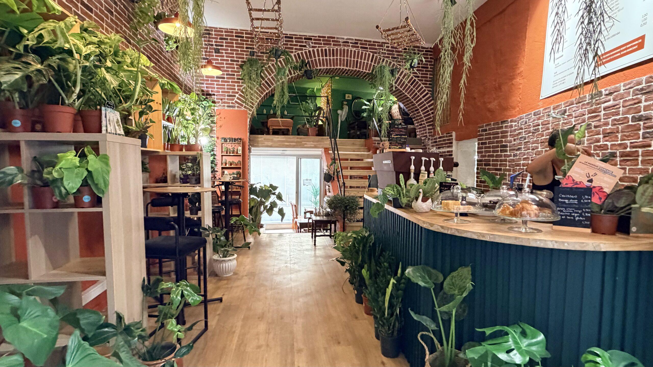 Botan Café : Le coffee shop où les plantes sont les stars