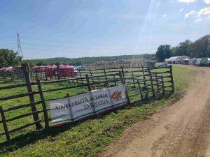 Tarquinia, tutto pronto per la Festa della Merca 2026 alla Roccaccia