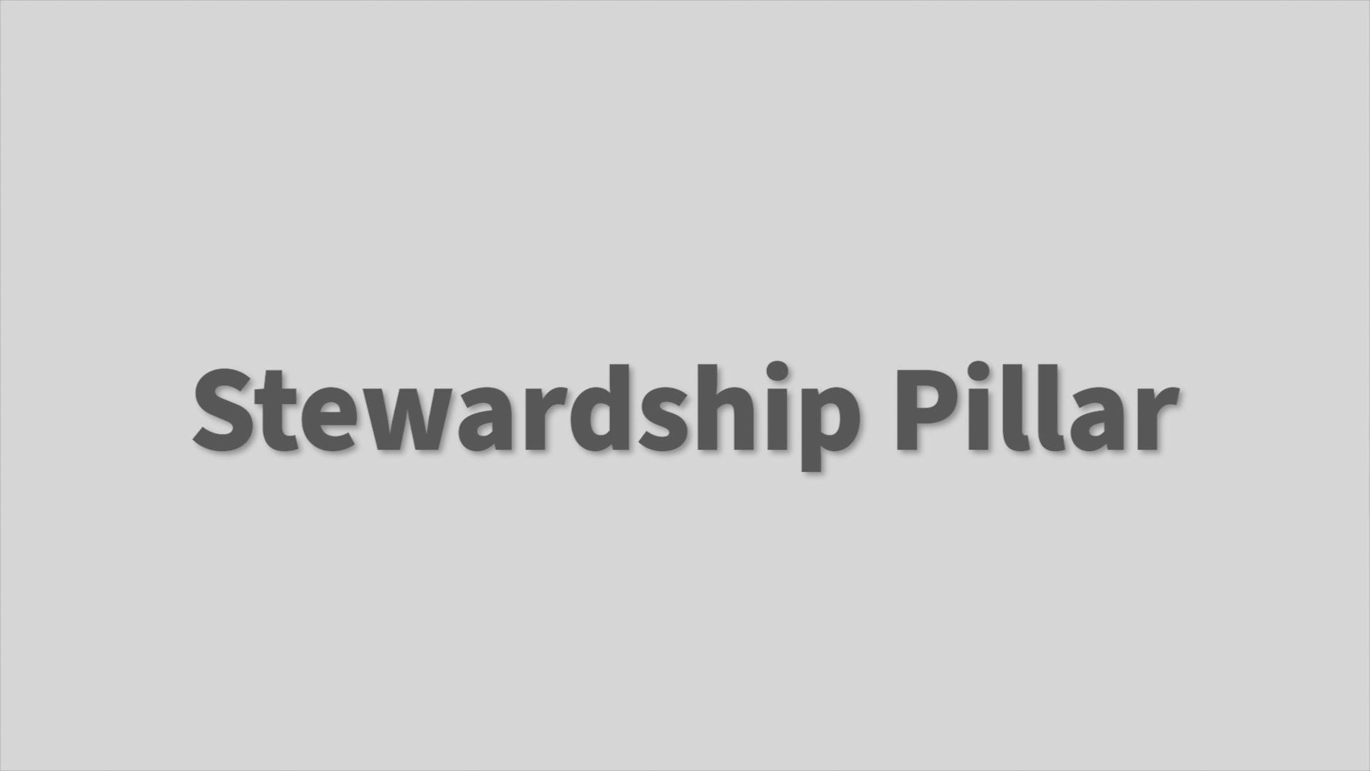 Stewardship Pillar