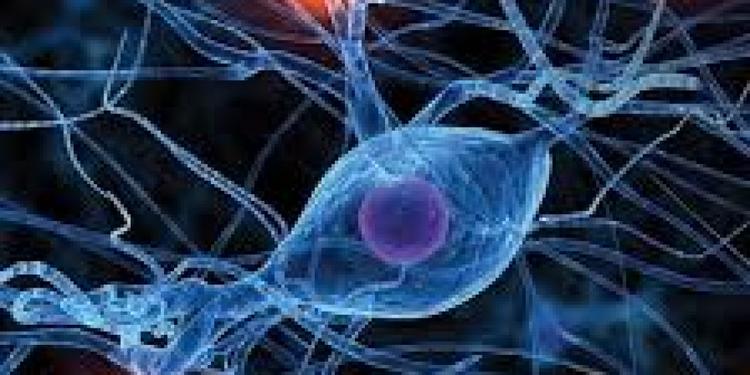Ricerca e tecnologia, 109 milioni per nove progetti in Sicilia