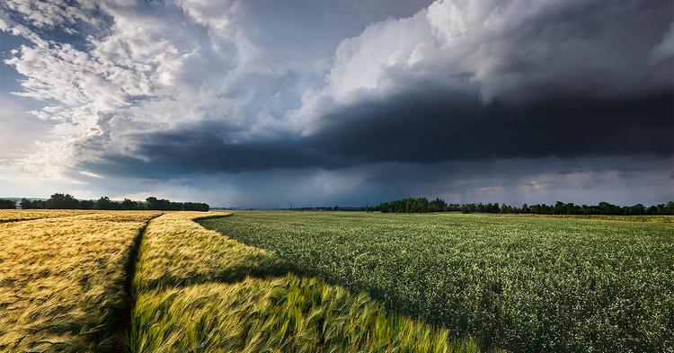 Previsão de El Niño forte alimenta preocupações com colheitas globais