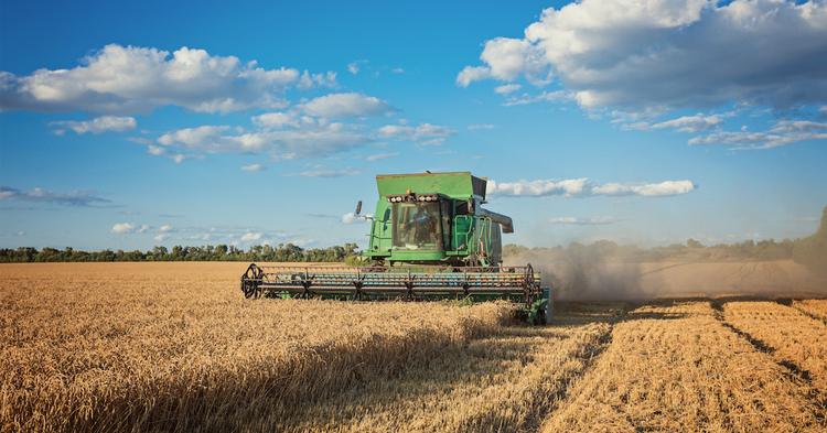 Especialistas alertam sobre desafios de sustentabilidade ainda enfrentados pelo agro brasileiro