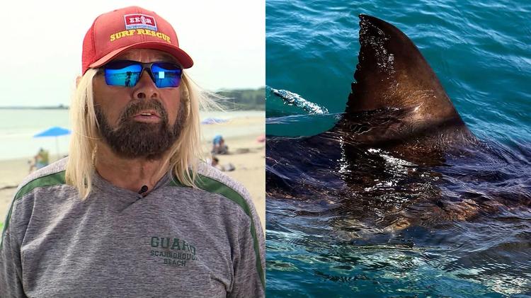 Salva-vidas de 71 anos é arrastado por tubarão-branco em praia do Maine