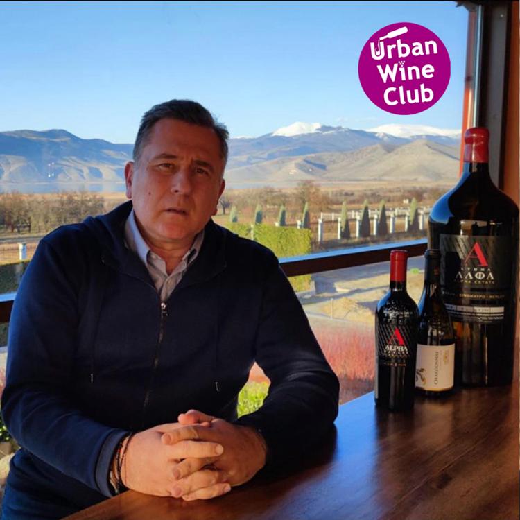 Precision Viticulture & the Cold Climate Revolution: The Alpha Estate Ecosystem in Amyndeon