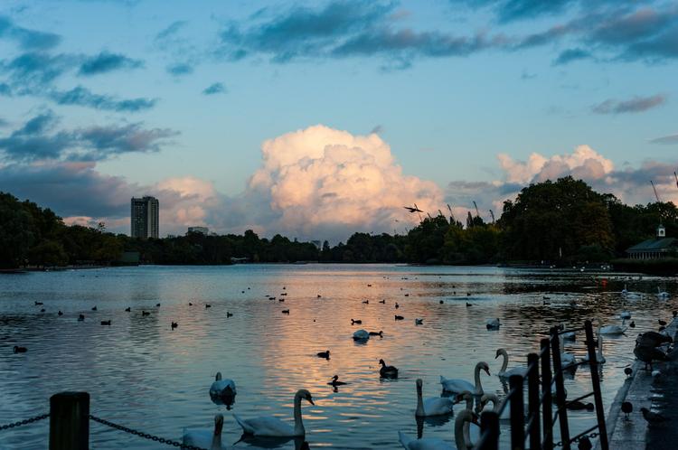 Hyde Park at sunset, London